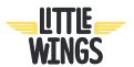 little wings logo